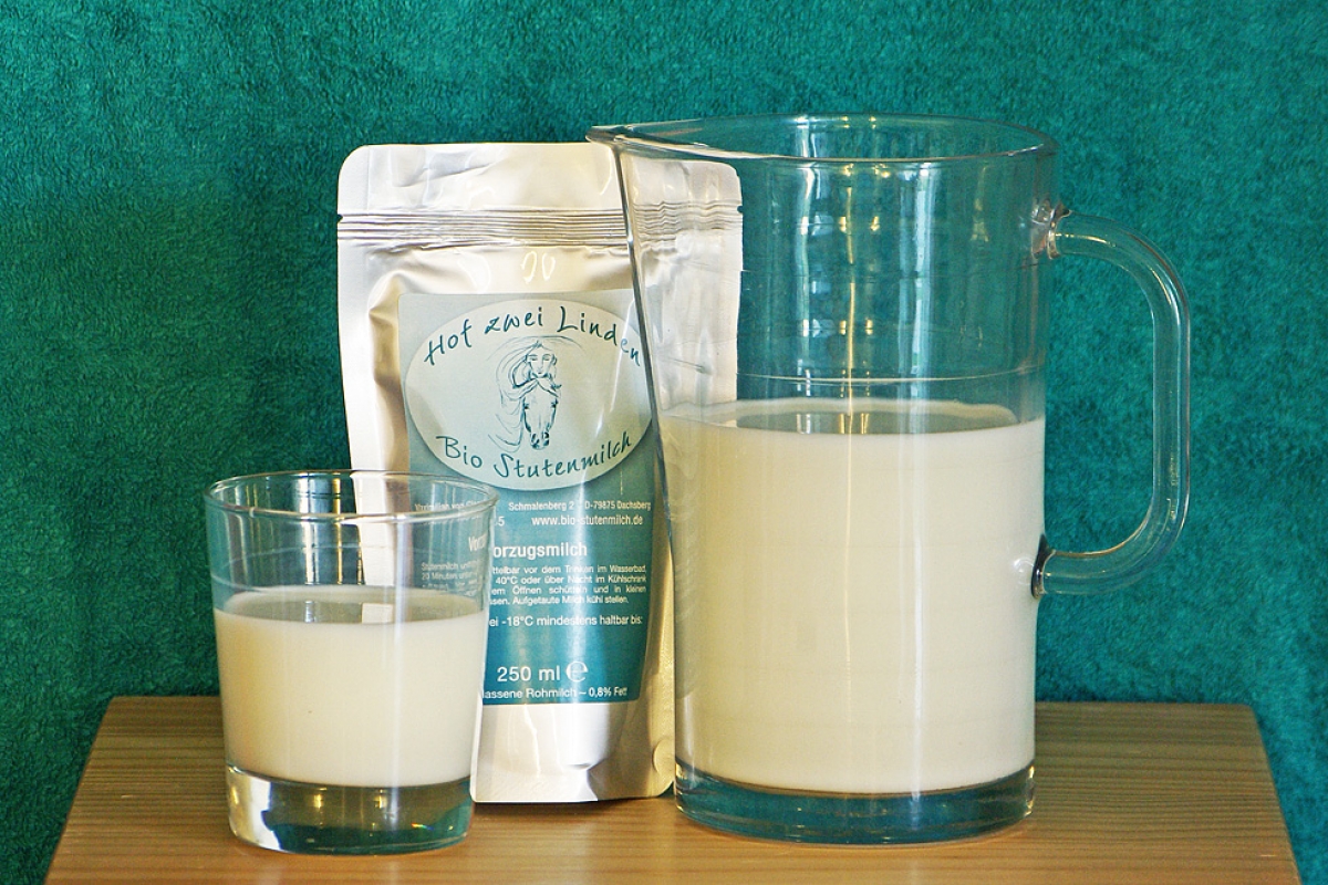 Bio-Vorzugs-Stutenmilch und Stutenmilch-Kosmetik vom Hof zwei Linden im Naturpark Südschwarzwald