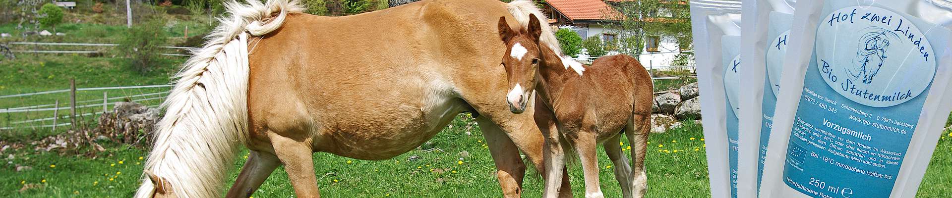 Bio-Vorzugs-Stutenmilch und Stutenmilch-Kosmetik vom Hof zwei Linden im Naturpark Südschwarzwald