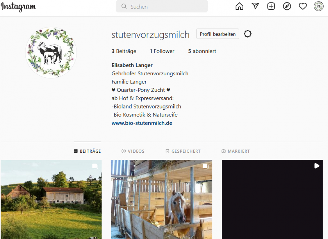 Folgt uns auf Instagram